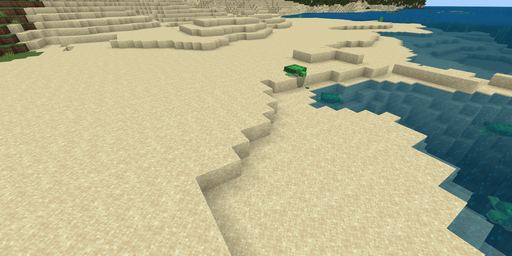 Beach Minecraft spawn biome