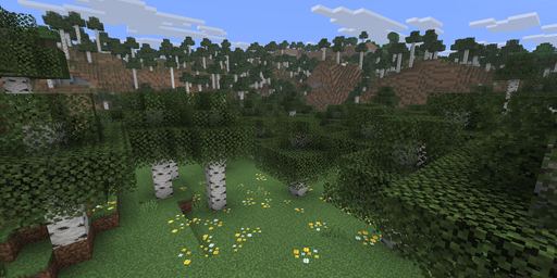 Birch forest Minecraft spawn biome