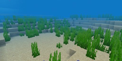 Deep warm ocean Minecraft spawn biome