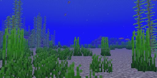 Ocean Minecraft spawn biome