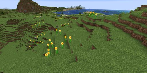 Sunflower plains Minecraft spawn biome