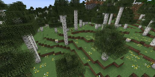 Tall birch forest Minecraft spawn biome