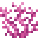 Brain coral Minecraft block