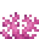Brain coral fan Minecraft block