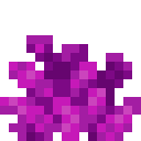 Bubble coral Minecraft block
