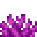 Bubble coral fan Minecraft block
