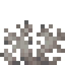 Dead brain coral fan Minecraft block