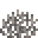 Dead fire coral fan Minecraft block