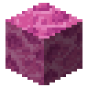 Brain coral block Minecraft block