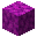 Bubble coral block Minecraft block