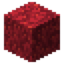Fire coral block Minecraft block