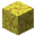 Horn coral block Minecraft block
