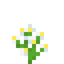 Azure bluet Minecraft block