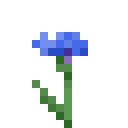 Cornflower Minecraft block