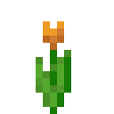 Orange tulip Minecraft block