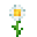 Oxeye daisy Minecraft block