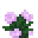 Peony Minecraft recipe ingredient