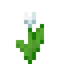 White tulip Minecraft block