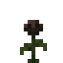 Wither rose Minecraft block