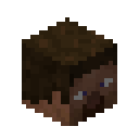 Player head Minecraft block