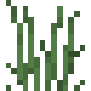 Tall grass Minecraft block