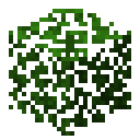 Acacia leaves Minecraft block