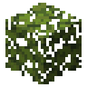 Azalea leaves Minecraft block