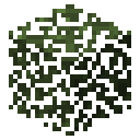 Birch leaves Minecraft block