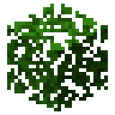 Dark oak leaves Minecraft block