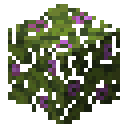 Flowering azalea leaves Minecraft block