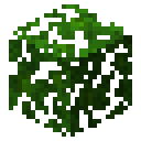 Jungle leaves Minecraft block