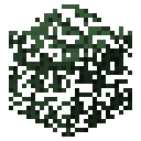 Spruce leaves Minecraft block