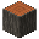 Acacia log Minecraft block