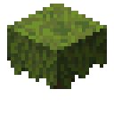 Azalea Minecraft block