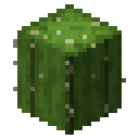 Cactus Minecraft block