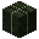 Dried kelp block Minecraft block