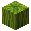 Melon Minecraft block