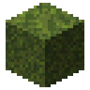 Moss block Minecraft block