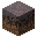 Mycelium Minecraft block