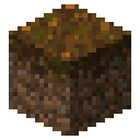 Podzol Minecraft block