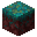 Warped nylium Minecraft block