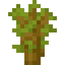 Acacia sapling Minecraft block