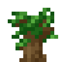 Dark oak sapling Minecraft block