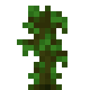 Jungle sapling Minecraft block