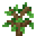 Oak sapling Minecraft block
