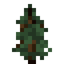 Spruce sapling Minecraft block