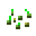 Seeds Minecraft item